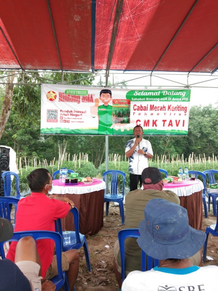 Anggota Fraksi PDI Perjuangan Dapil 3 (Penengahan,Bakauheni,Ketapang,Sragi) Bapak Taman Panen cabai merah bersama petani di desa karang sari kecamatan ketapang